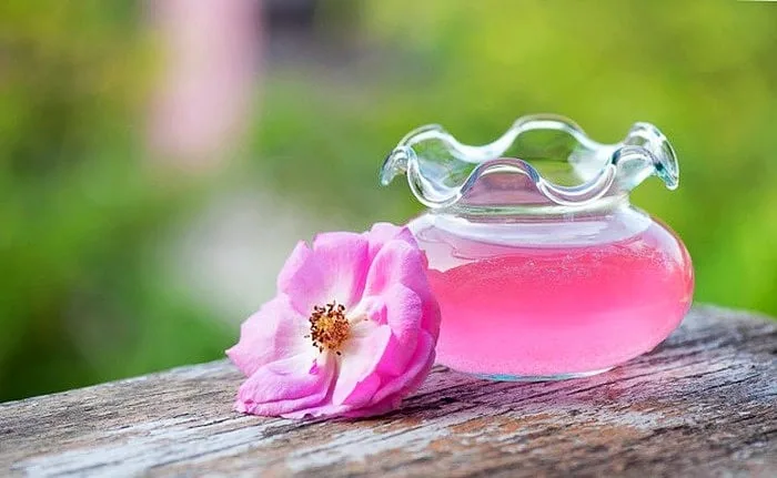 تخم شربتی گیاهی